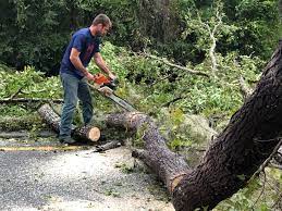 Best Utility Line Clearance  in Shadow Lake, WA