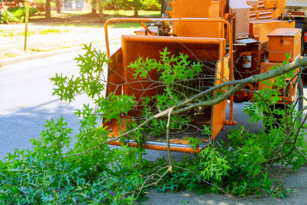 Best Commercial Tree Services  in Shadow Lake, WA