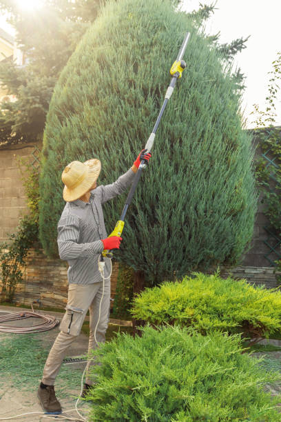 Best Hedge Trimming  in Shadow Lake, WA